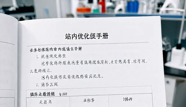 站内优化：流量变现技巧的性能与适用条件